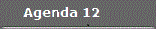 Agenda 12